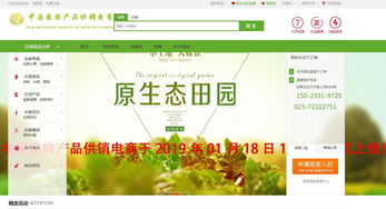 互联网信息服务驱动下的农特产品电商新模式探析